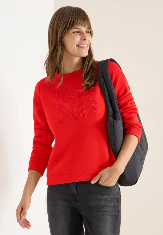 Sweatshirt mit Stickerei pumkin orange