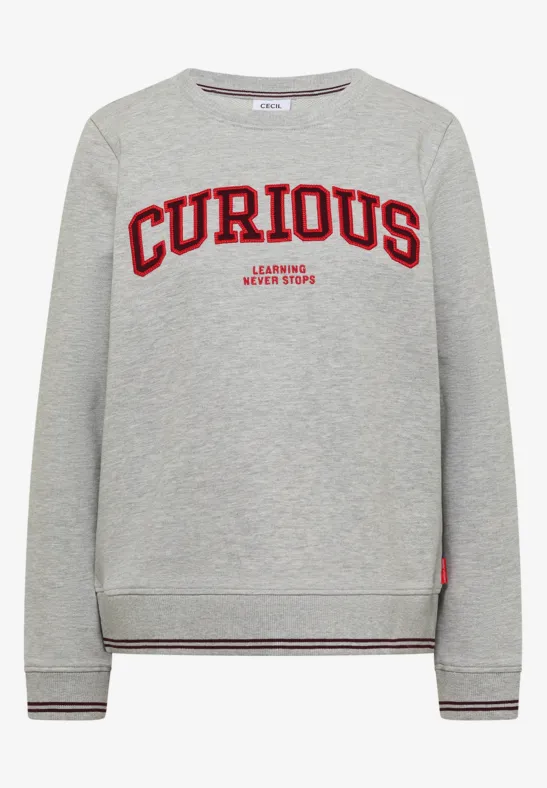 Grauer Pullover mit rotem Schriftzug 'CURIOUS' auf der Brust und Rippbündchen an Ärmeln und Saum.