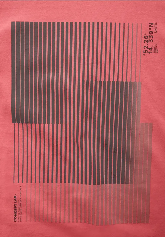 T-shirt met streepprint bleached red
