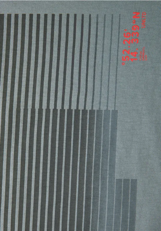 T-Shirt mit Streifen-Print silver green