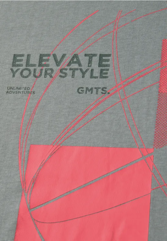 T-Shirt mit grafischem Print silver green