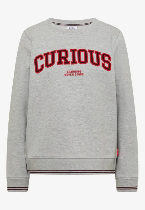 Grauer Pullover mit rotem Schriftzug 'CURIOUS' auf der Brust und Rippbündchen an Ärmeln und Saum.