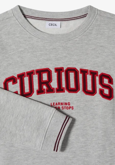 Graues Sweatshirt mit rotem "CURIOUS"-Schriftzug und kleinem Zusatz "Learning never stops".