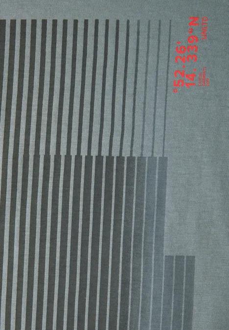 T-shirt met streepprint silver green