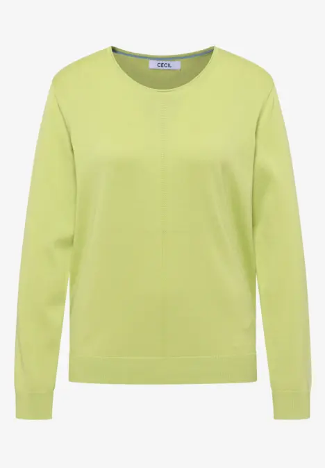 Hellgrüner, schlichter Pullover mit Rundhalsausschnitt und langen Ärmeln.