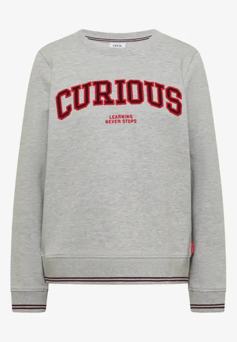 Grauer Pullover mit rotem Schriftzug 'CURIOUS' auf der Brust und Rippbündchen an Ärmeln und Saum.