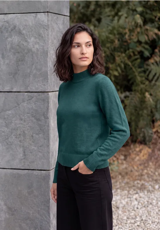 Pullover in Unifarbe mit Turtle Neck